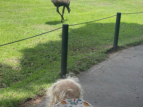 Wildlife HQ Zoo-Woombye必去景点