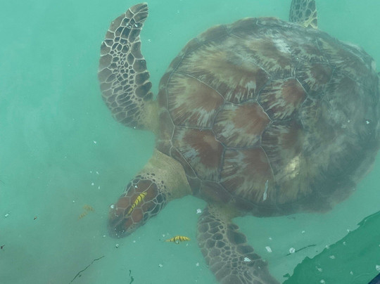 Le Performant Sport Fishing-Pereybere必去景点