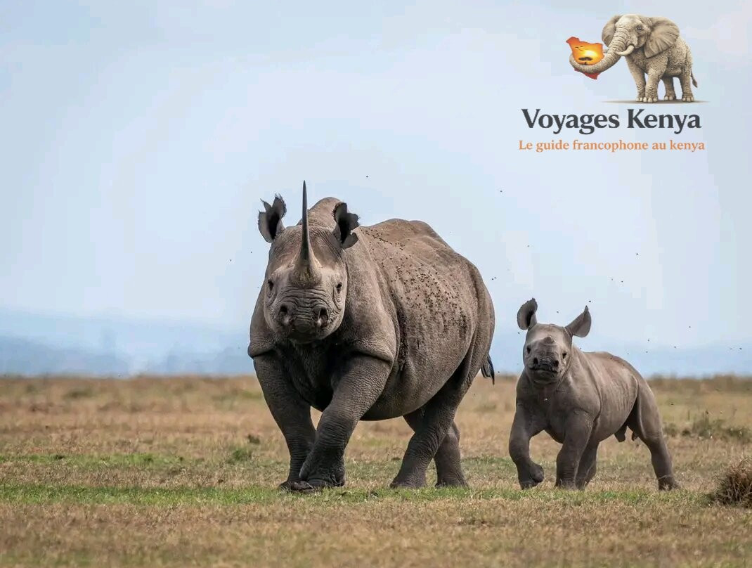 Excursions Bahati KENYA-瓦塔木必去景点