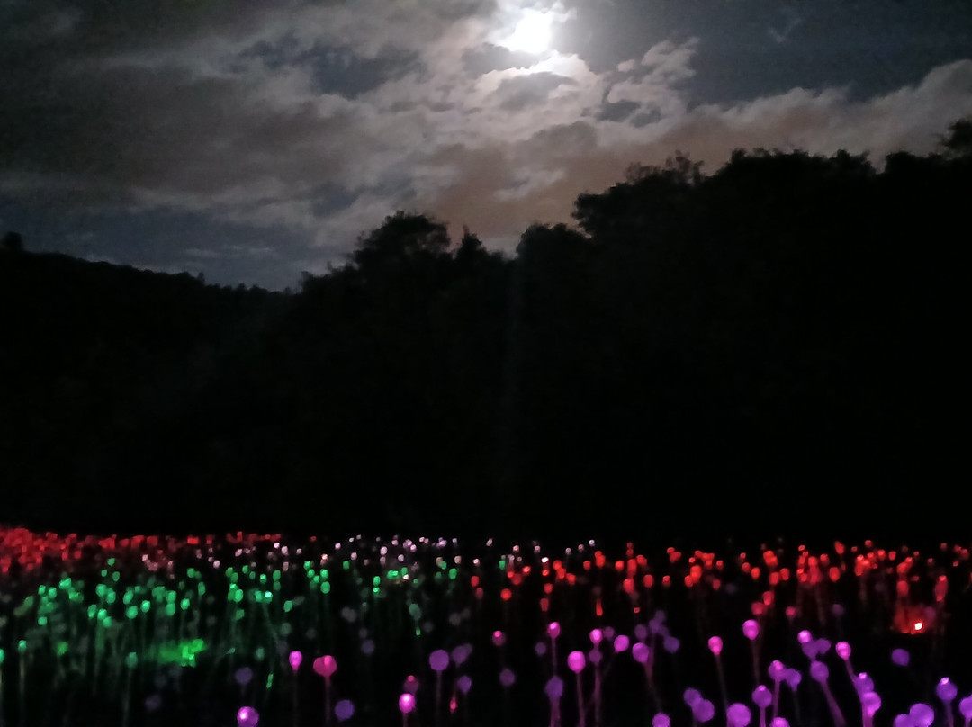 Lumni Gramado-格拉玛多必去景点