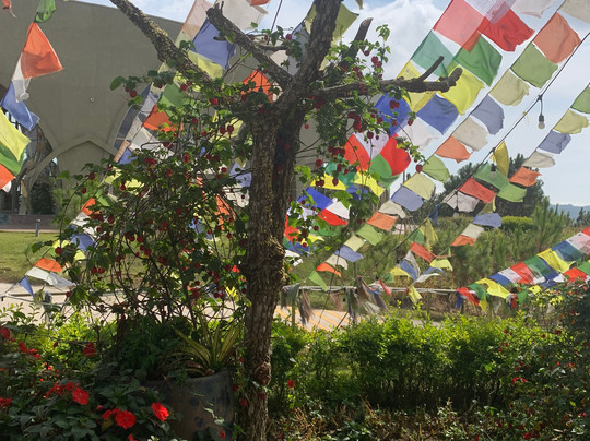 Samten Hills Dalat-Tu Tra必去景点