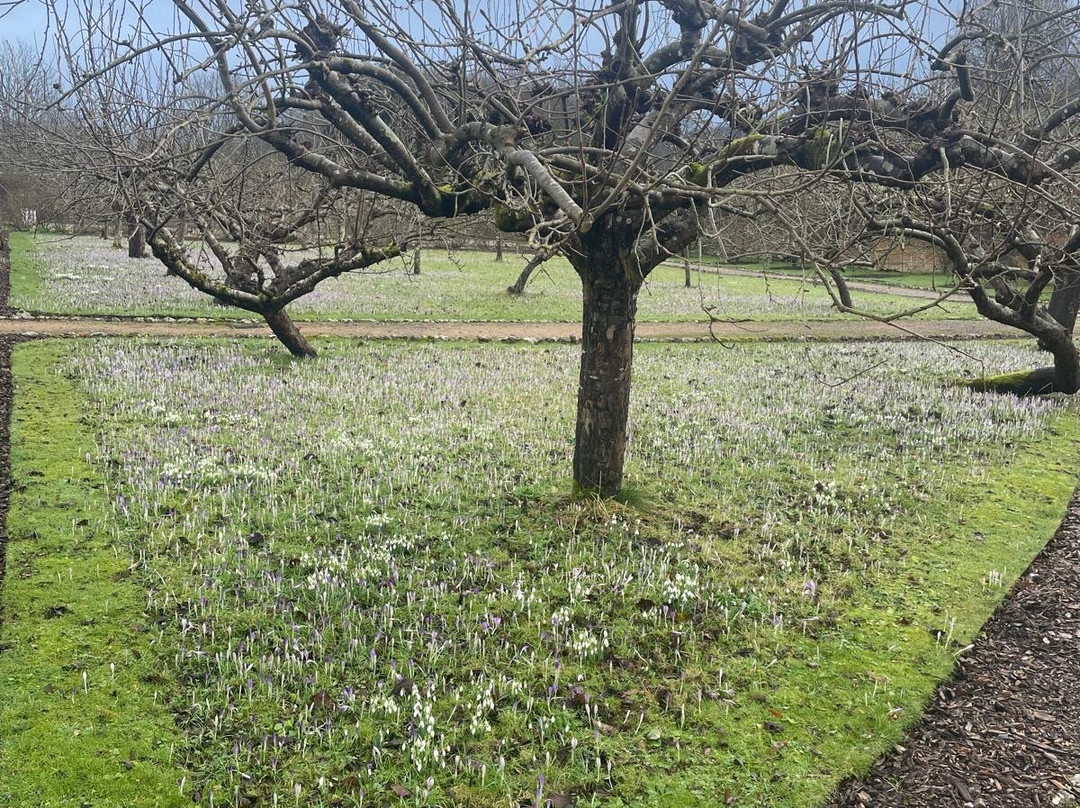 West Dean Gardens-奇切斯特必去景点