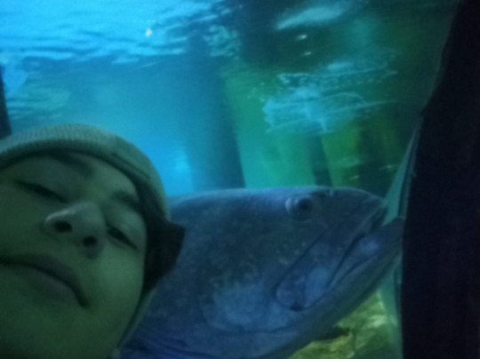 Aqua Vega Aquarium-安卡拉必去景点