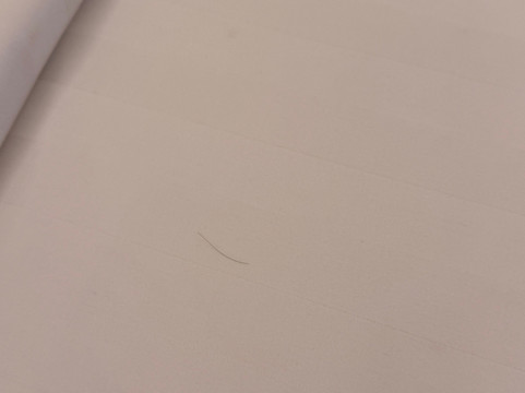 巨港大祖日酒店主图