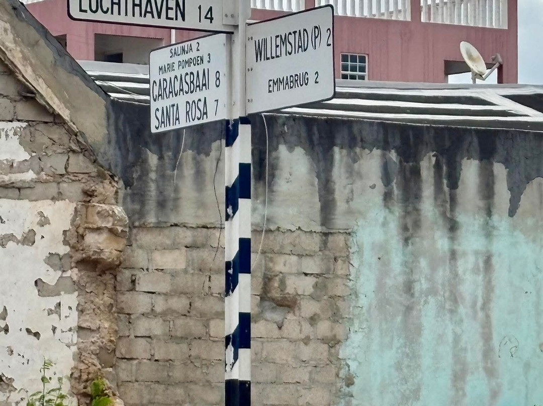 Amazonia: The Jungle Experience Tour-威廉斯塔德必去景点