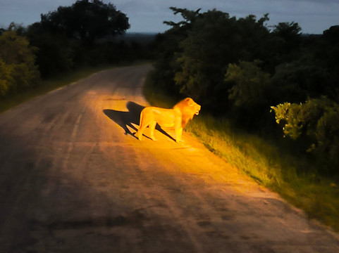 Pabeni Gate Kruger National Park-雾观必去景点