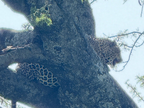 Marafiki Safaris & Cultural Tours-巴加莫约必去景点