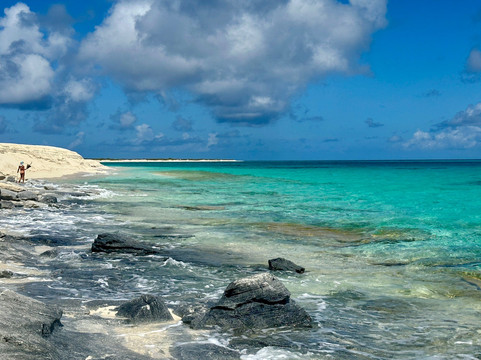Salt Cay Divers-Salt Cay必去景点