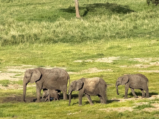 Good Earth Tours-阿鲁沙必去景点