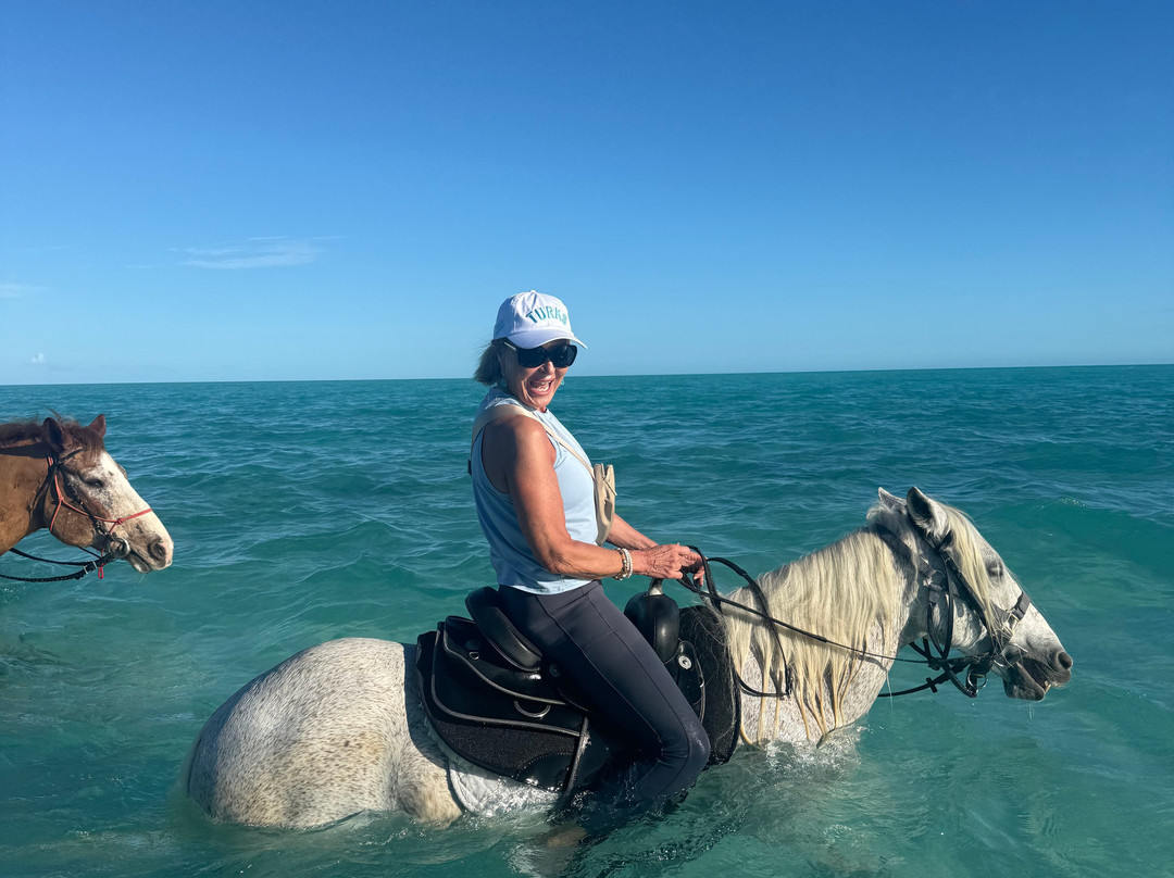 Provo Ponies-Long Bay Hills必去景点