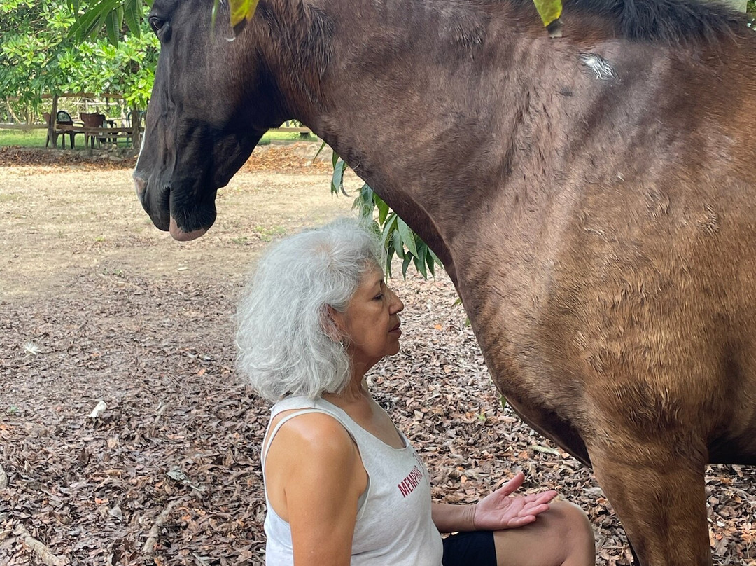 Horse Spirit Healing-Cabuya必去景点