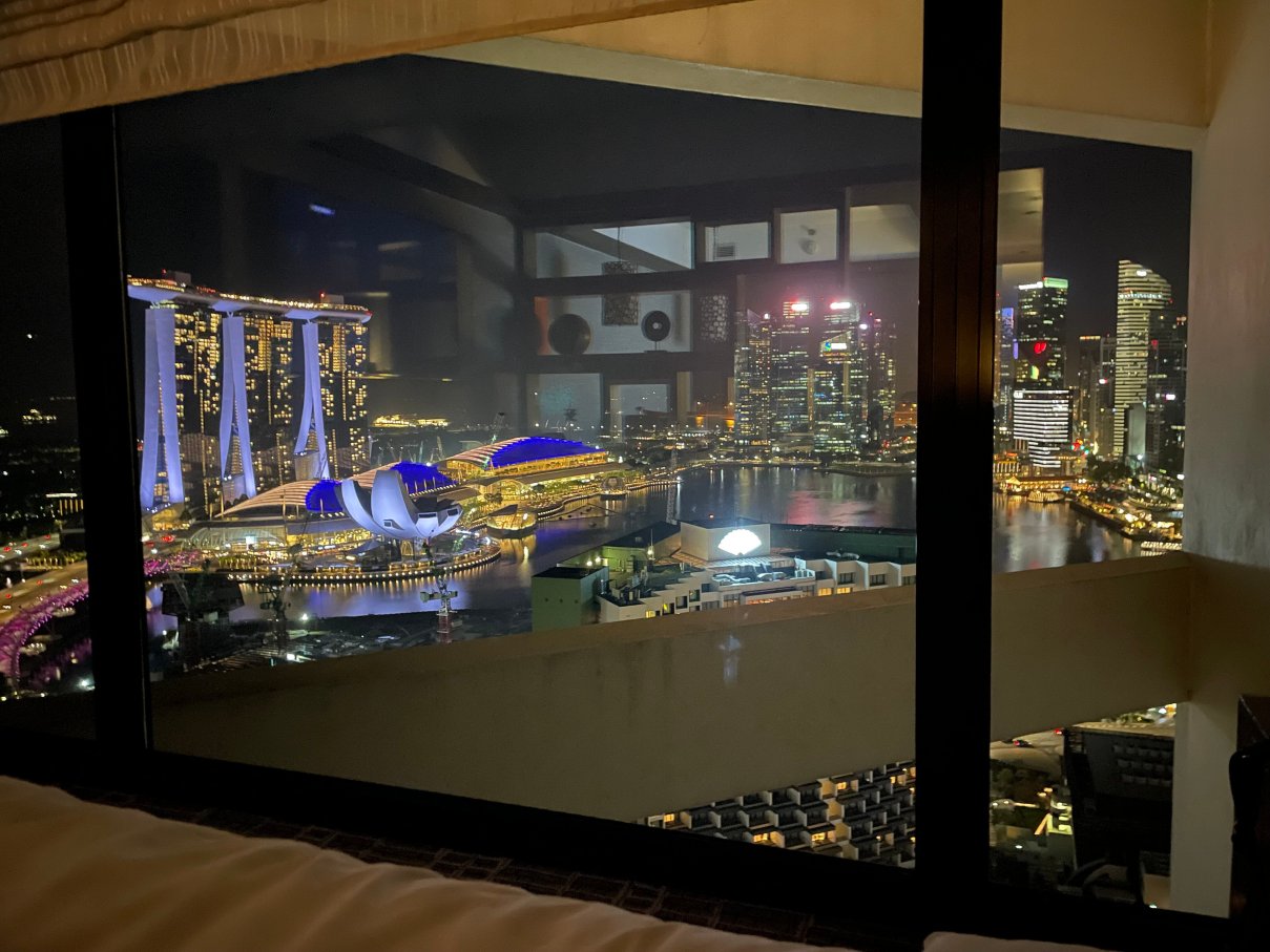 新加坡泛太平洋酒店-酒店景观