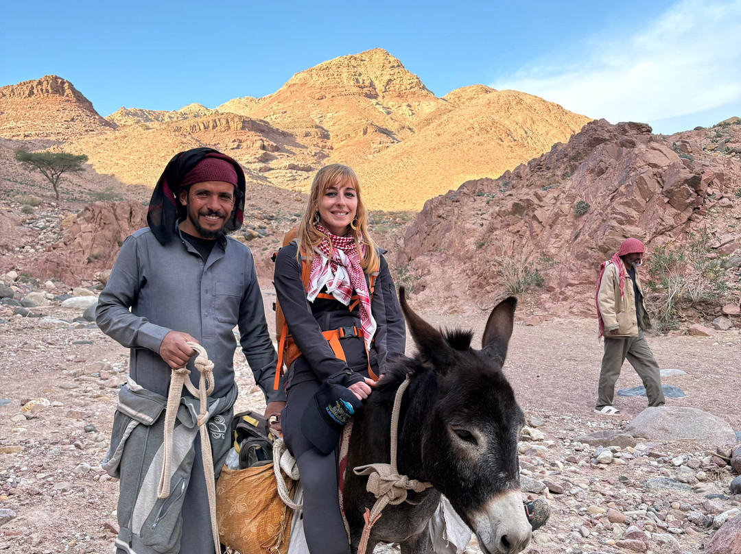 Bedouin Journeys Adventure-Dana必去景点
