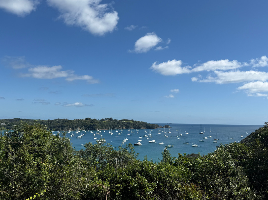 怀赫科岛野百里香酒店主图