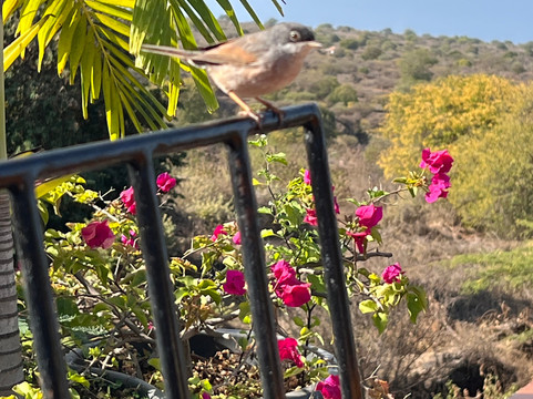 La Fora Ecolodge主图