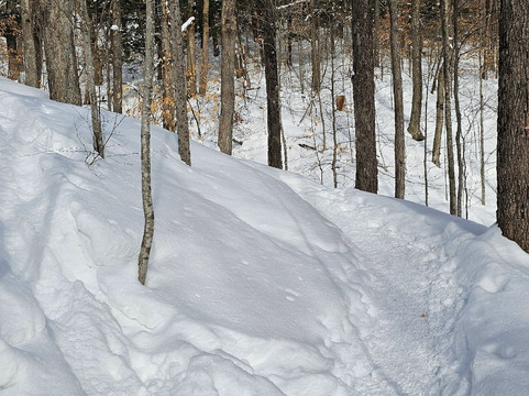 Parc des Sommets de Bromont-Bromont必去景点
