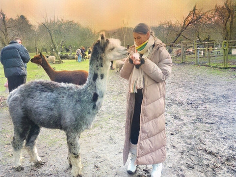 Huckleberry Woods-Faversham必去景点