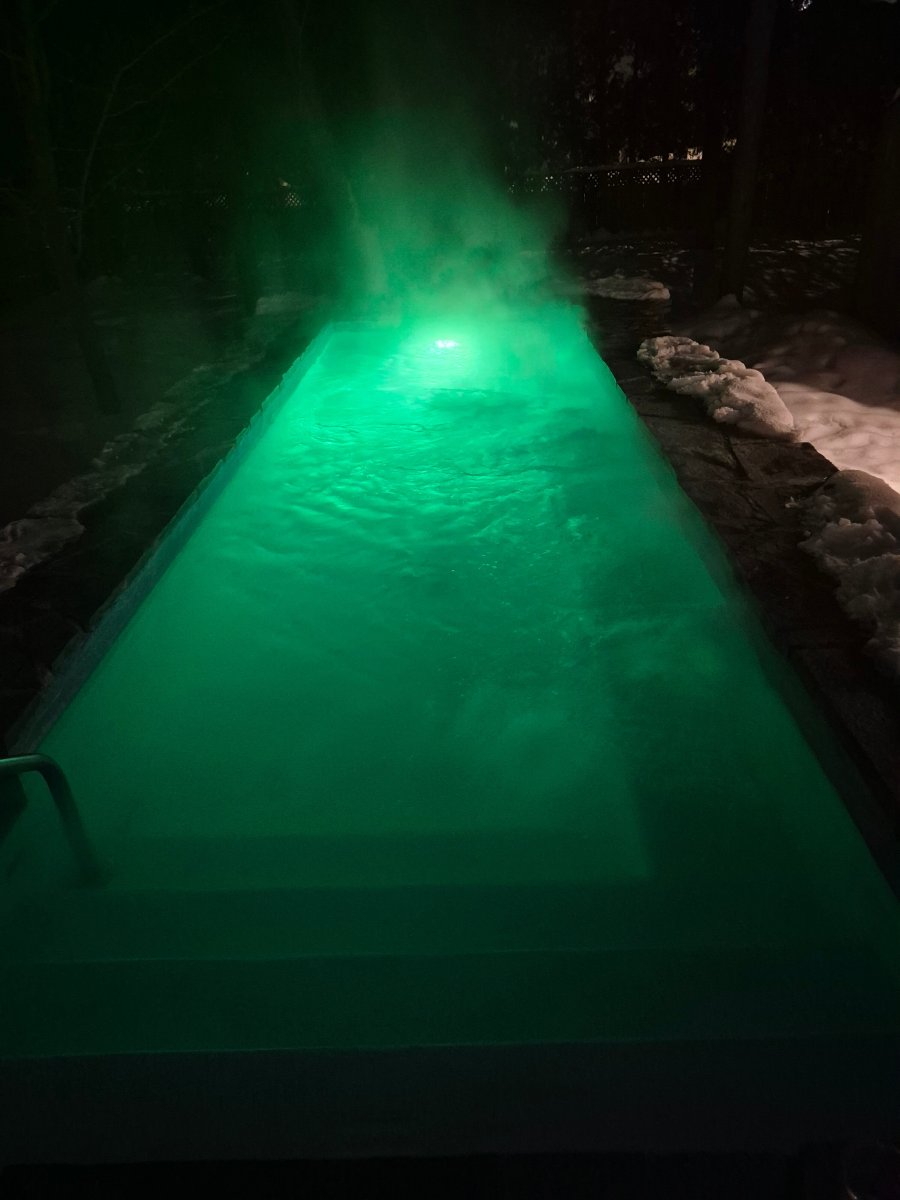 瑞莱斯丹尼丝酒店-官方