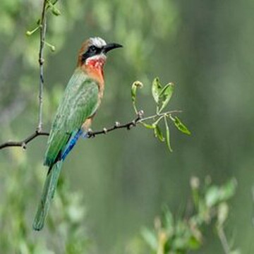 Wesley酒店住宿-Trumpetters Drift Private Wildlife Lodge