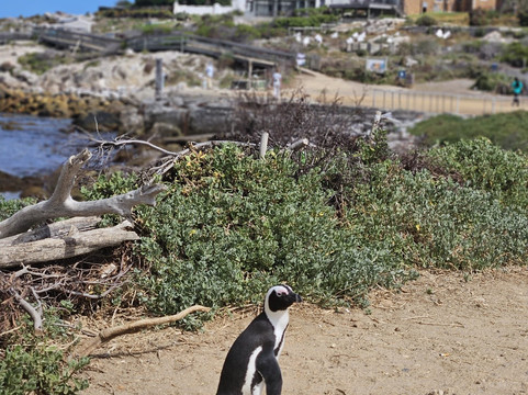 Yengwa Tours & Adventures-克尼斯纳必去景点