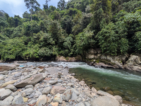 Sumatra Orangutan Explore-武吉拉旺必去景点
