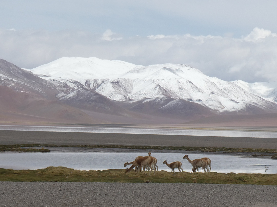 Tour F Buenos Aires-布宜诺斯艾利斯必去景点