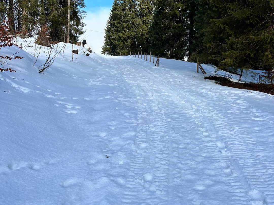 阿尔马赫马奇酒店主图