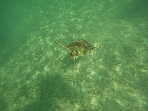 Blue Caribe-艾库玛尔必去景点