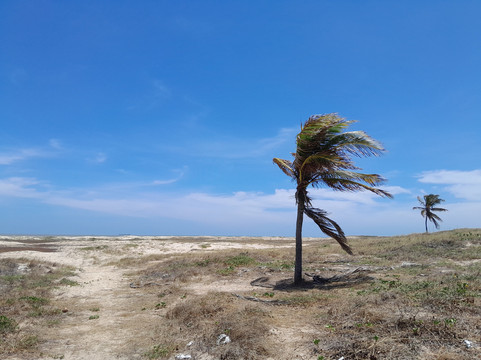 Praia de Atalaia Nova-阿拉卡茹必去景点