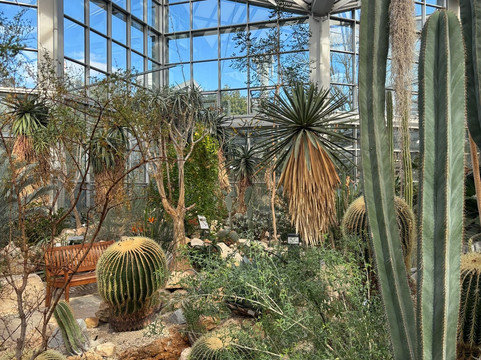 棕榈树公园-法兰克福必去景点