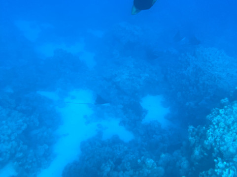 Egypt International-赫尔格达必去景点