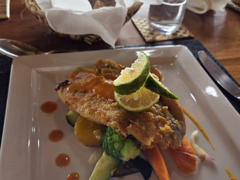 Aardvark Safari Lodge主图