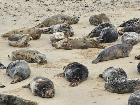 Horsey Beach-Horsey必去景点