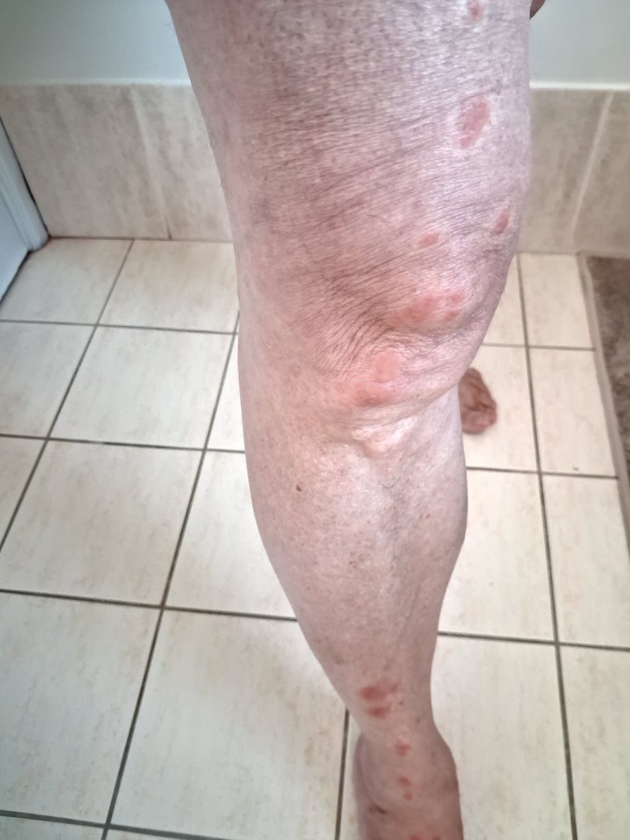 彭赫斯特酒店-官方