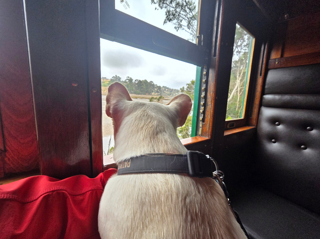 Don River Railway-Devonport必去景点