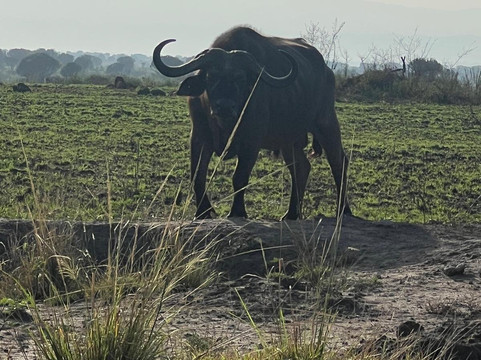 Mugenyi Eco Tours-Rubirizi必去景点
