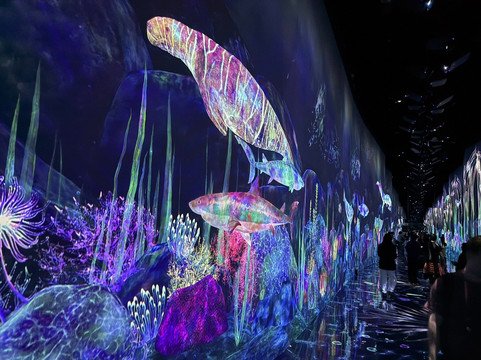 teamLab Planets TOKYO-Toyosu必去景点