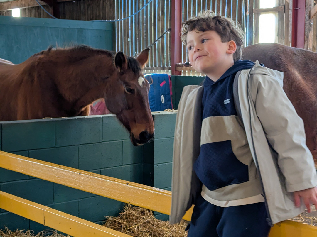 Farmer Teds Adventure Farm-Ormskirk必去景点