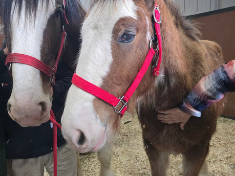 Warm Springs Ranch-Boonville必去景点