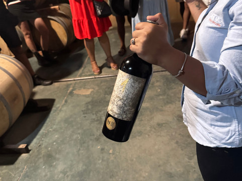 Pizzorno Family Estates-Canelones必去景点