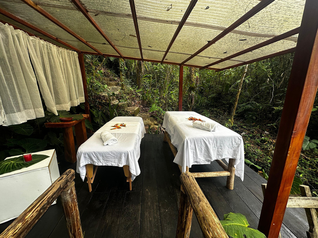 Cedro Amazon Lodge