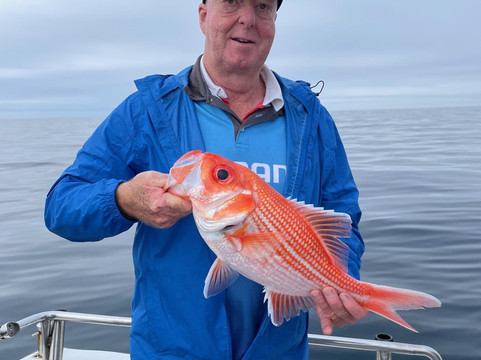 Reef Encounters Fishing Charters-Marion Bay必去景点