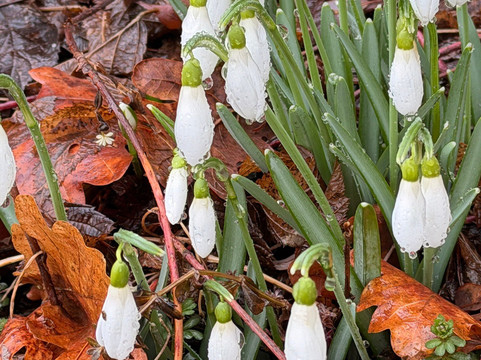 Schlaraffenland B&B主图