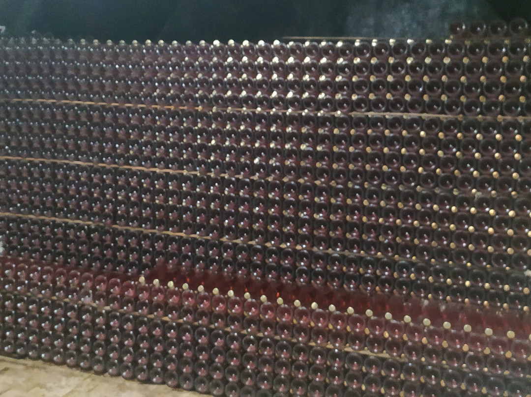 Caves Messias-梅阿利亚达必去景点