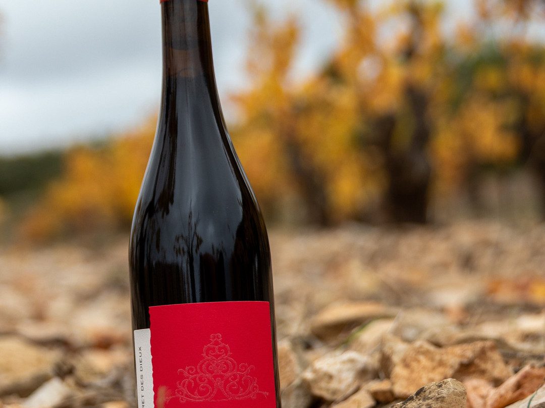 Cave De Château Castigno-Assignan必去景点