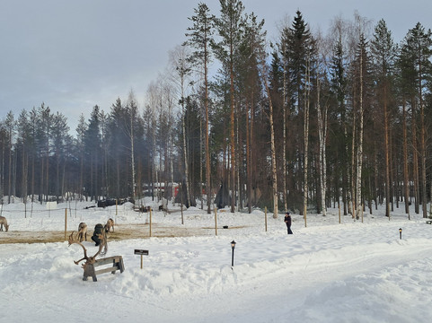 Northern Lights Park-罗瓦涅米必去景点