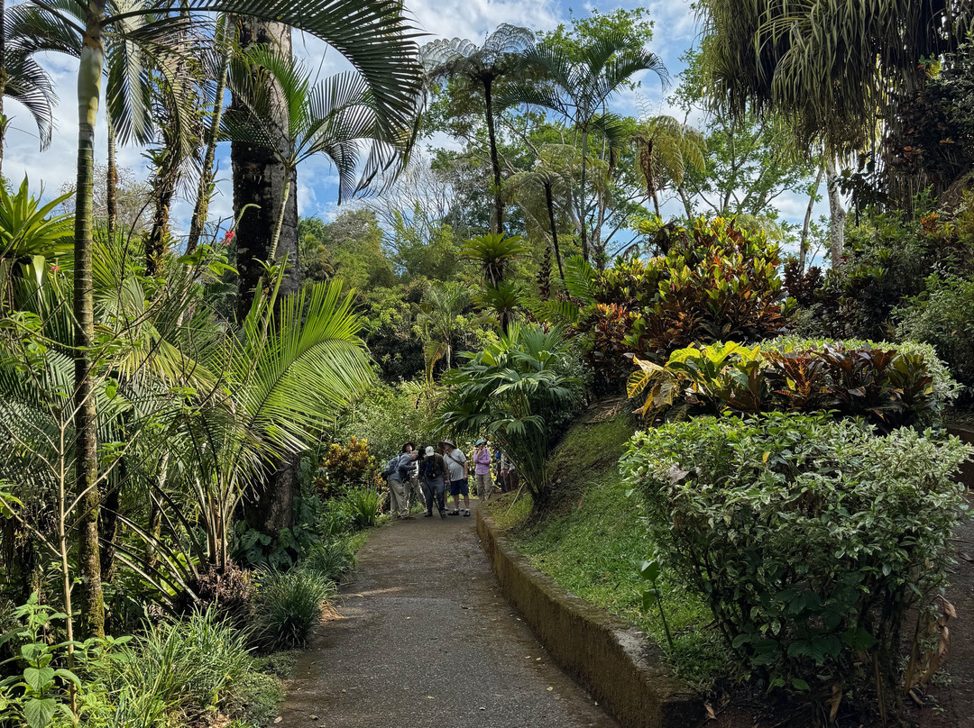 Pura Vida Gardens and Waterfalls-哈科必去景点