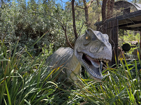 Jirrahlinga Dingo Conservation & Wildlife Education Centre-Chewton必去景点