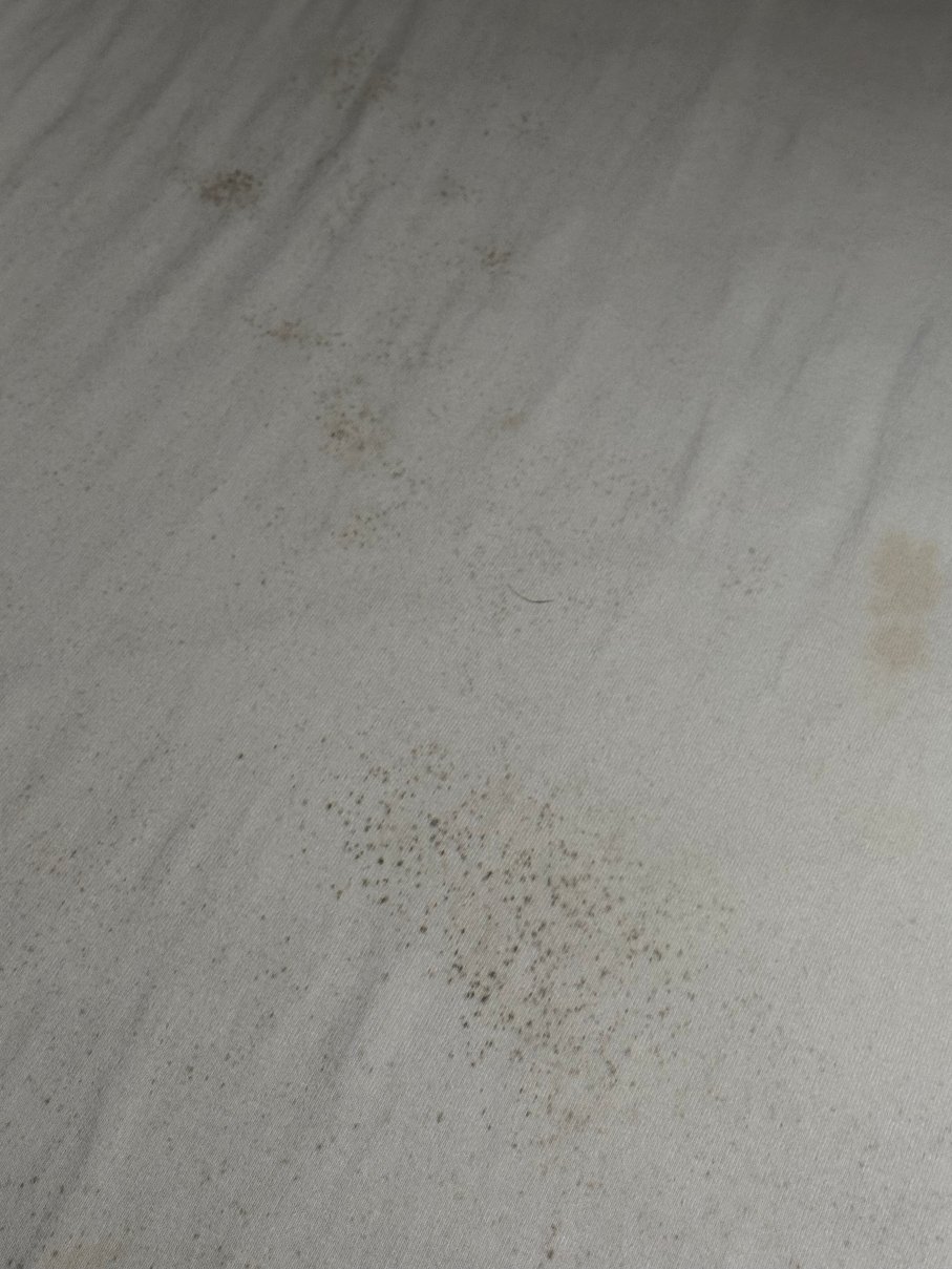 布朗斯顿豪斯酒店，贝斯特韦斯特至尊精选-官方