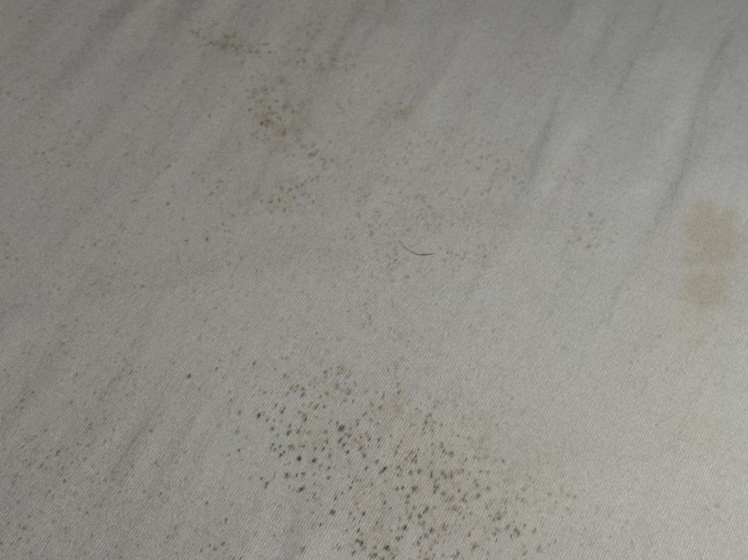 布朗斯顿豪斯酒店，贝斯特韦斯特至尊精选主图